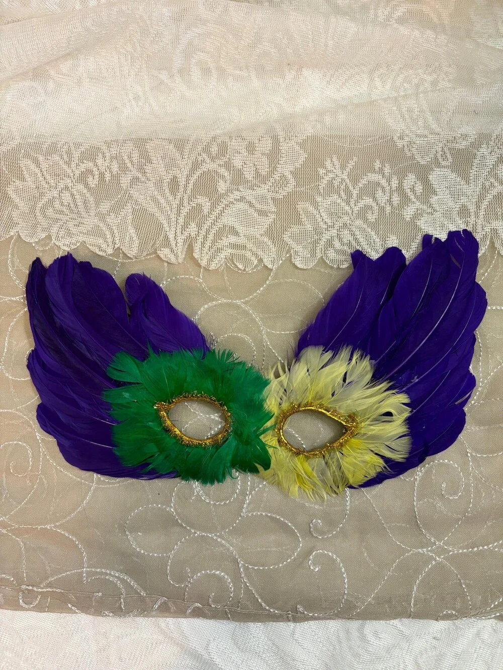 Mardi Gras Feather Masquerade Mask Costume Accessory
